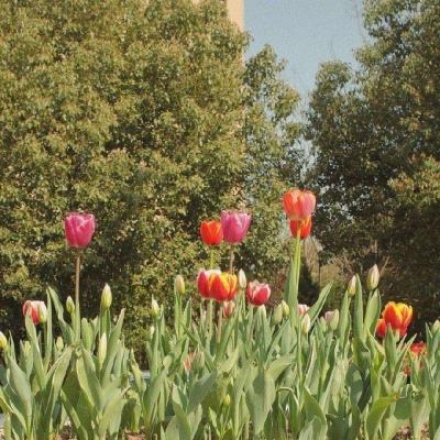 华体会登录(官方)APP下载下载手机版