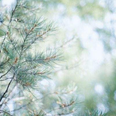 天健棋牌手机app下载截图