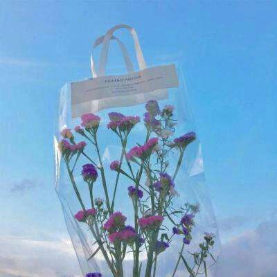 亚星娱乐网下载手机版