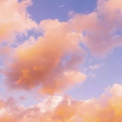 365在线手机app下载